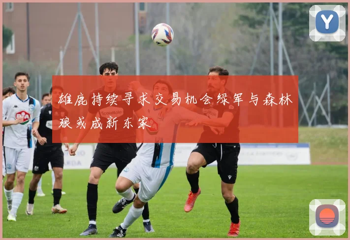 雄鹿持续寻求交易机会绿军与森林狼或成新东家