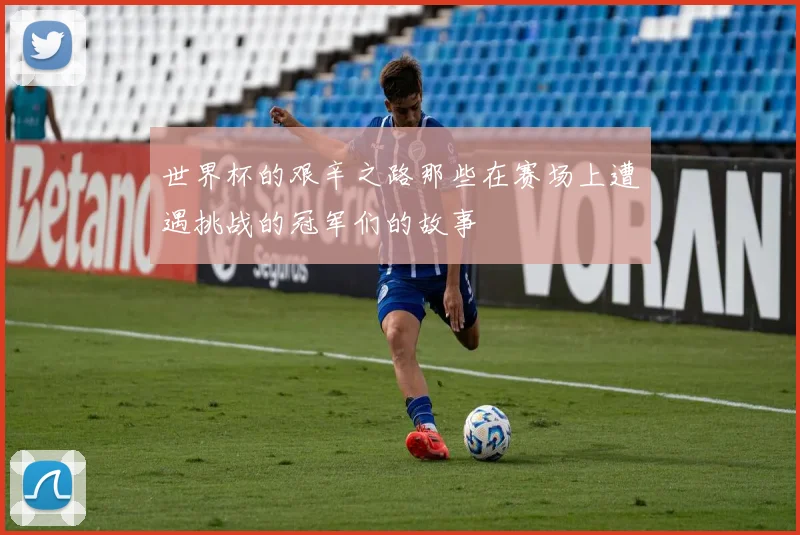 世界杯的艰辛之路那些在赛场上遭遇挑战的冠军们的故事